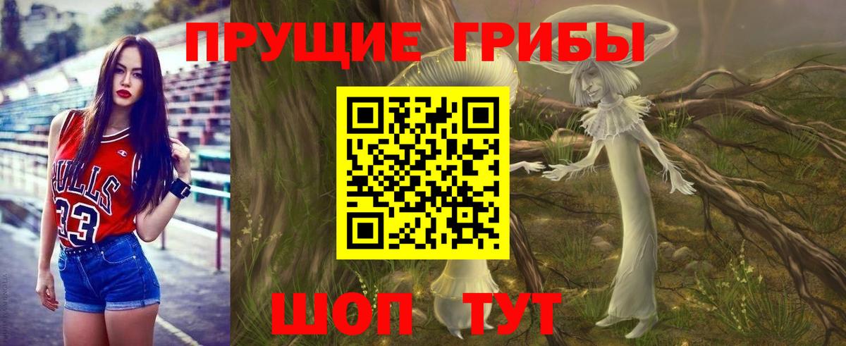 Добрянка  Псилоцибиновые грибы Psilocybe  Вход с VPN 